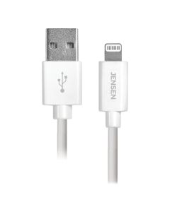10FT LTNG TO USB CBL