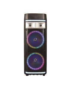 2X12IN PORT BT TW SPKR